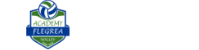 Volley Academy Flegrea